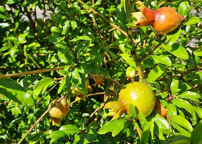 Friedrichs Kleines Haus * Bannewitz