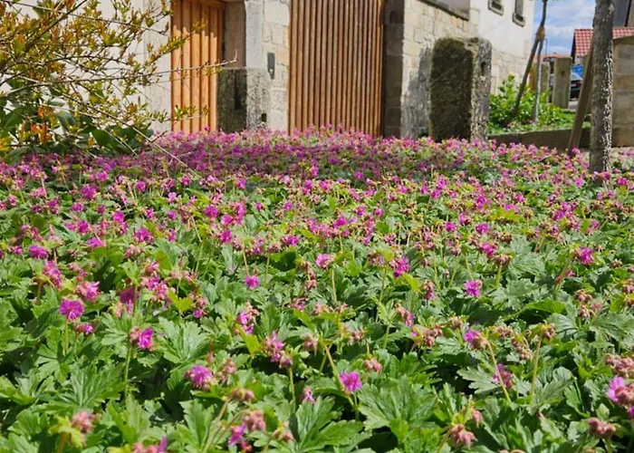 Friedrichs Kleines Haus Bannewitz